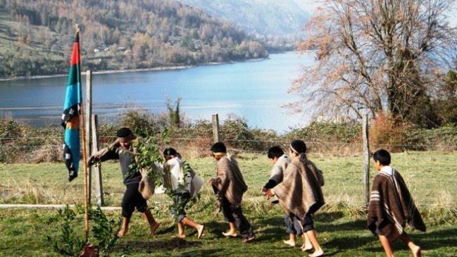 Museo Violeta Parra celebrará la 