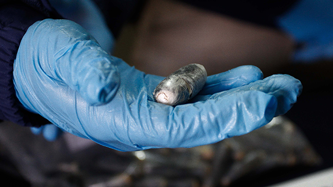 Detienen a ciudadanos bolivianos que transportaban ovoides de cocaína