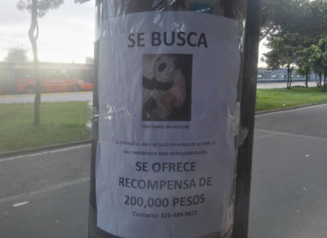 Oso de peluche perdido apareció en Colombia y viajará a China
