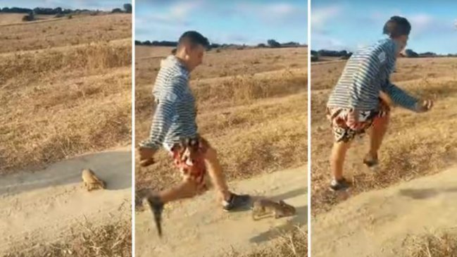 Policía española busca a joven que pateó a un conejo