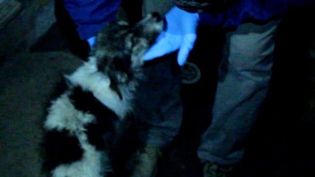 En San Pedro de la Paz se realizó el primer procedimiento por la 