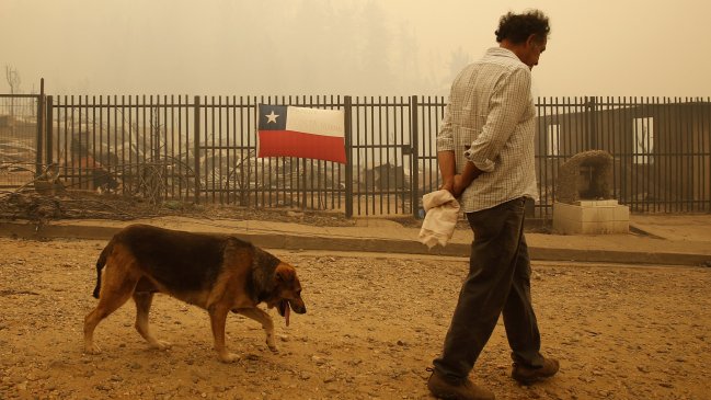 Inician restauración ecológica y social en las zonas devastadas por incendios forestales