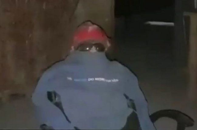 El insólito compañero de guardia en Padre Hurtado: Vecinos acusan falta de seguridad