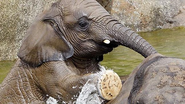 Un joven murió cuando trataba de sacarse una 