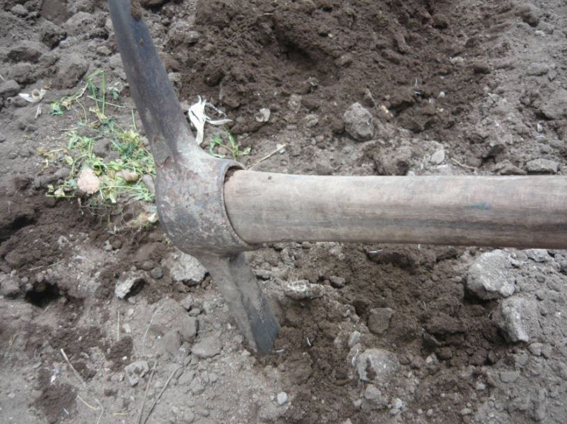 Condenan a muerte un hombre que asesinó a 19 personas en China