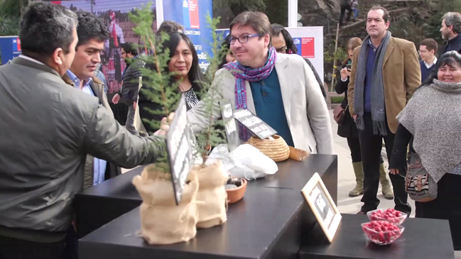 Gobierno lanzó postulaciones para el Fondo de Desarrollo y Fomento Indígena