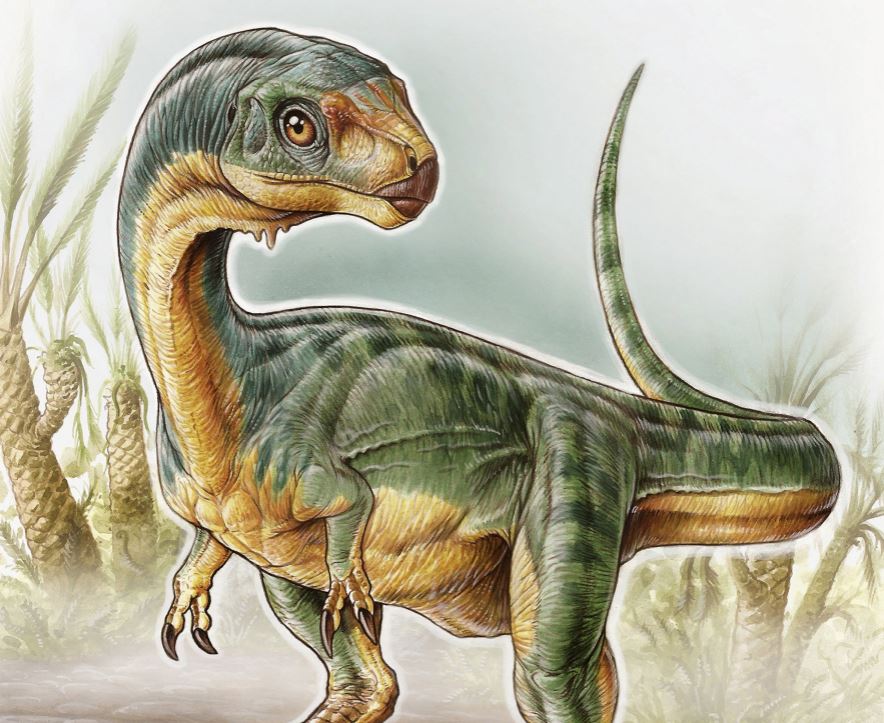 Descubren la importancia del dinosaurio chileno en la evolución