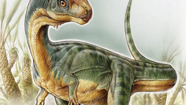 Descubren la importancia del dinosaurio chileno en la evolución
