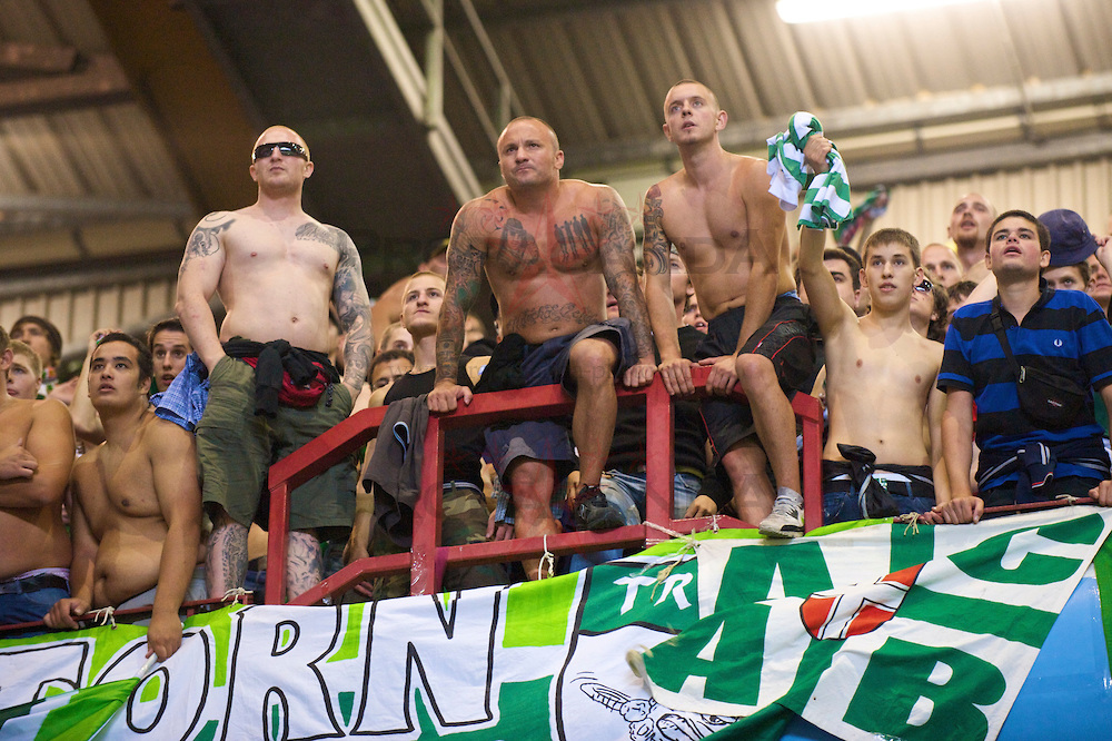 Condenan a aficionado a 18 meses de cárcel por saludo nazi en un estadio
