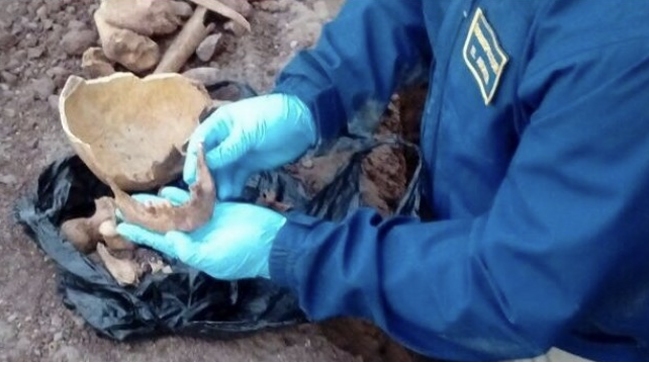 PDI investiga hallazgo de osamentas humanas en La Serena