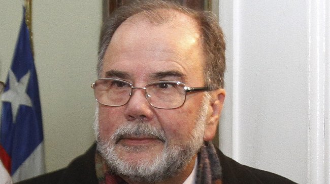 Rodríguez Grossi: Si Dominga se readapta puede volver a presentarse