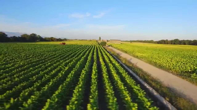 FAO asesorará a países de América Latina a mitigar impacto cambio climático