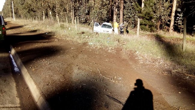 La Araucanía: Sujetos derribaron árboles para bloquear la Ruta 5 Sur