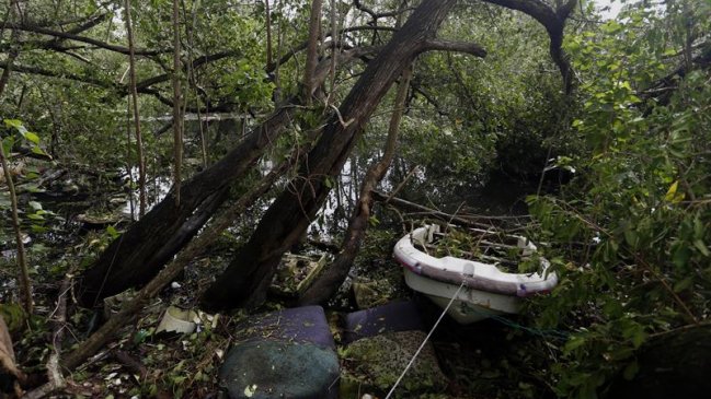 Irma causa 15 muertes en el Caribe y crece alerta por Katia y José