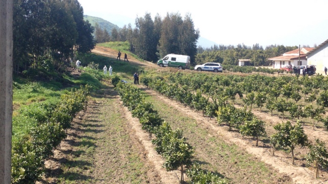 Hallan cuerpo descuartizado en una parcela de Melipilla