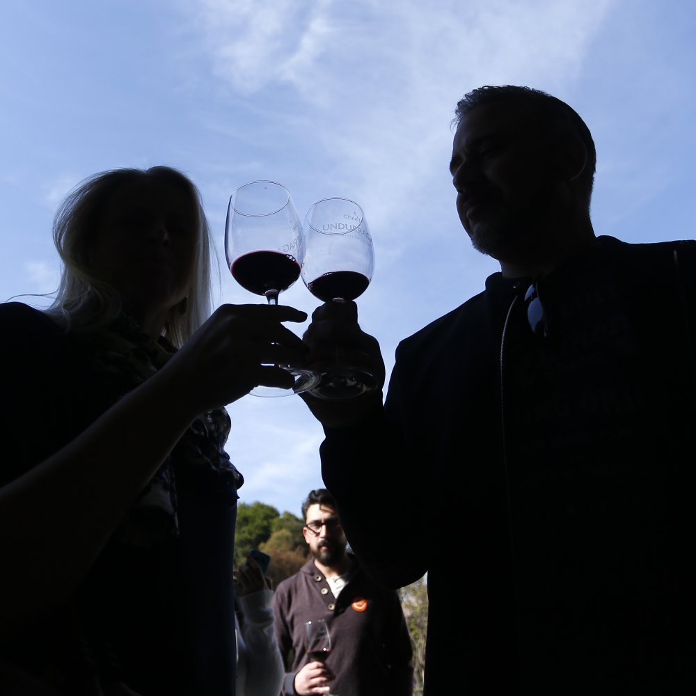 Prestigiosa revista inglesa escogió los mejores vinos carmenere chilenos