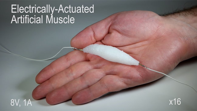 Desarrollan un material equivalente al músculo humano para robots