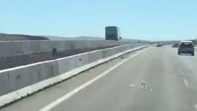 Conductor de bus que iba contra el tránsito se confundió por desvíos de Fiestas Patrias