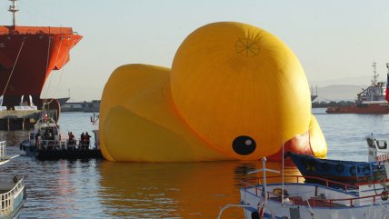 El nuevo percance que sufrió el pato de hule