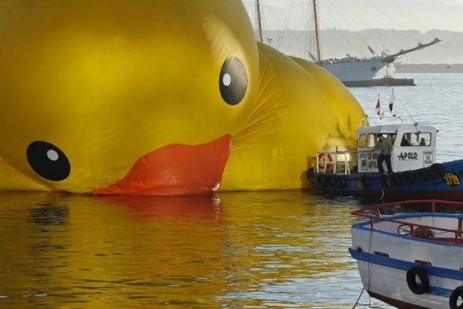 Crean juego donde tienes que salvar al pato de hule