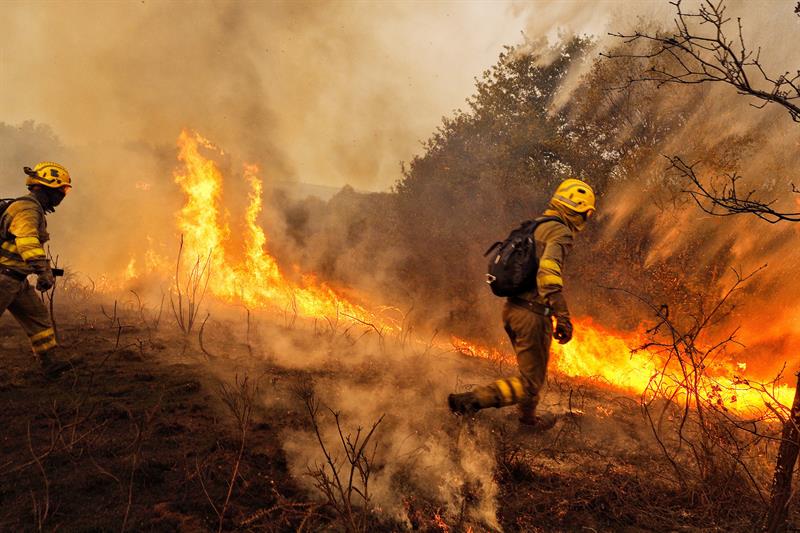 España: 5.000 personas luchan contra 146 incendios en Galicia