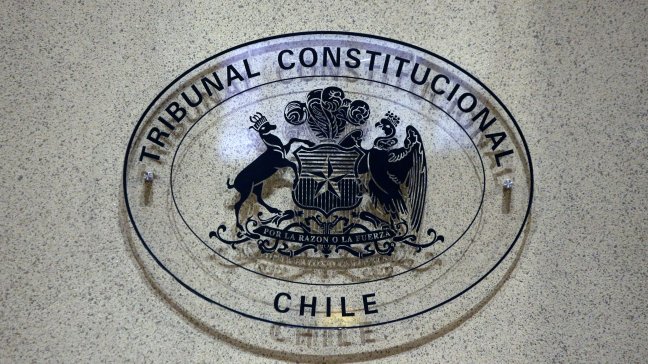 TC definirá posible derogación de norma que obliga a cárcel por posesión de armas no inscritas