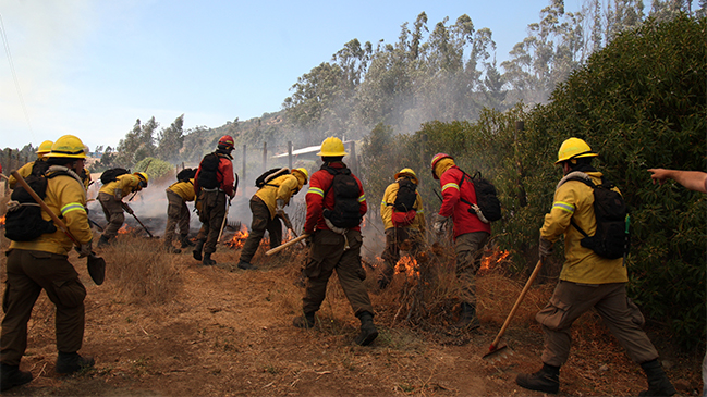 Murió brigadista de Conaf que sufrió graves heridas durante incendios forestales de enero