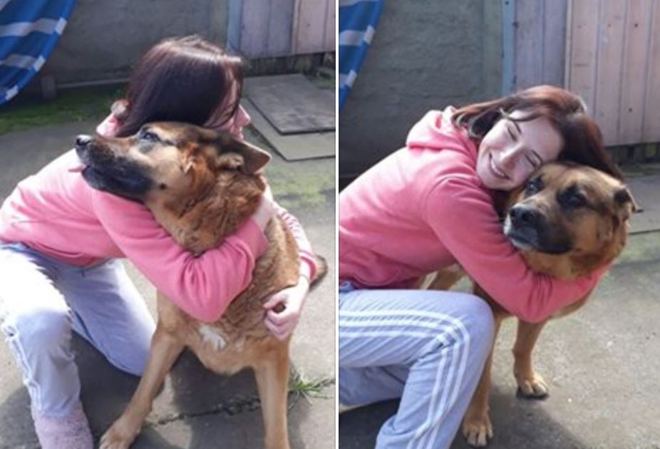 La tierna campaña que quiere llevar a perro callejero desde Coronel a Rusia