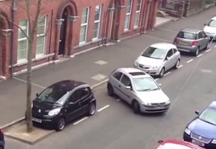 Conductora se demoró más de 20 minutos en estacionarse y se viralizó