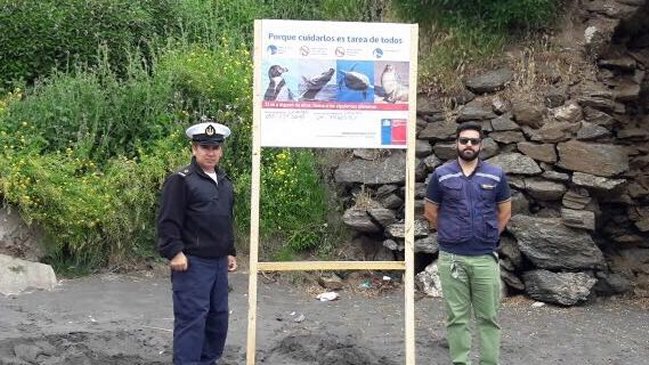 Región del Maule: Incrementan protección de especies marinas por aumento de varamientos