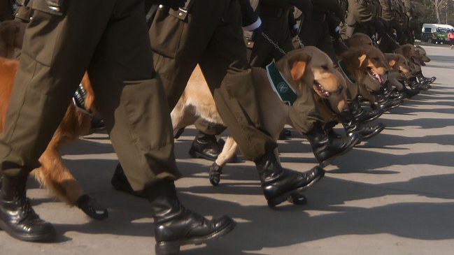 CDE se querelló por posible maniobra evasora de Carabineros en compra de botas