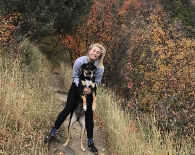 Perro simuló estar enfermo para que lo regalonearan