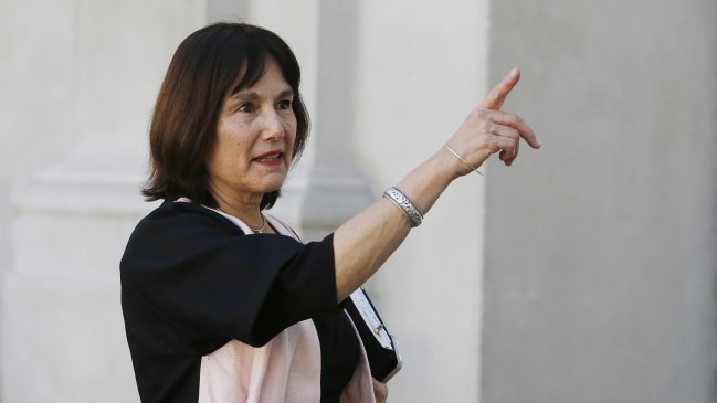 Minsal expresó preocupación por aumento en casos de virus Hanta