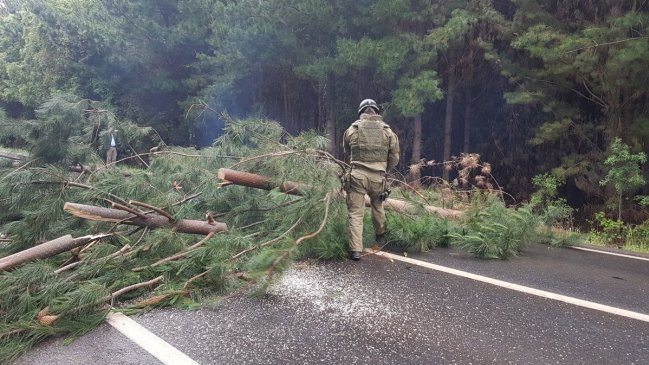 Gobierno reportó bloqueos de rutas y quemas de buses