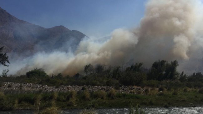 Incendio forestal ha consumido siete hectáreas en la Región de Coquimbo