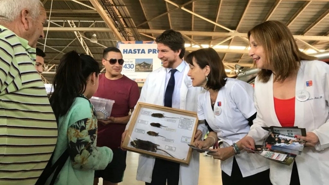 Virus hanta: Minsal reforzó campaña ante aumento de casos