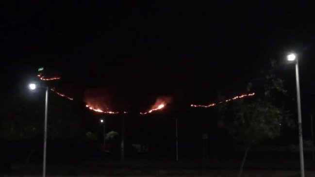Bomberos monitorea incendio en Cerro Renca