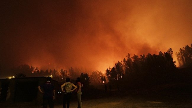 Incendios forestales: Recomendaciones de Conaf para vecinos de sectores en riesgo