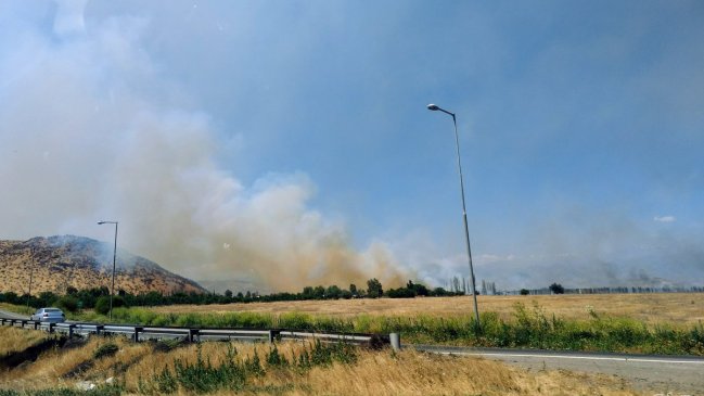 Controlan incendio forestal que amenazó cárcel de Punta Peuco