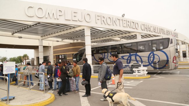 PDI detuvo a mujer que abandonó a un gato en coma en baño de paso fronterizo