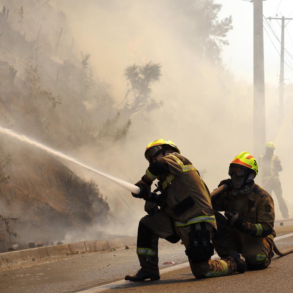 Incendio forestal en Quilpué consumió casi seis hectáreas