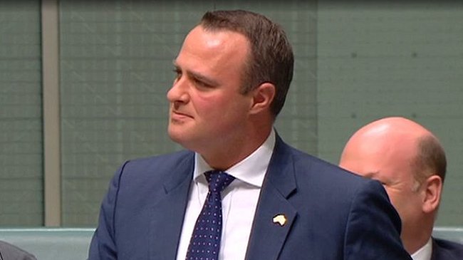 Australia: Diputado pidió la mano de su novio durante debate del matrimonio gay