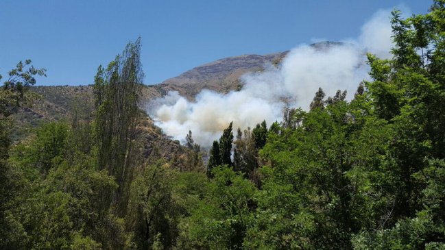 Onemi decretó Alerta Roja por incendio forestal en Melipilla