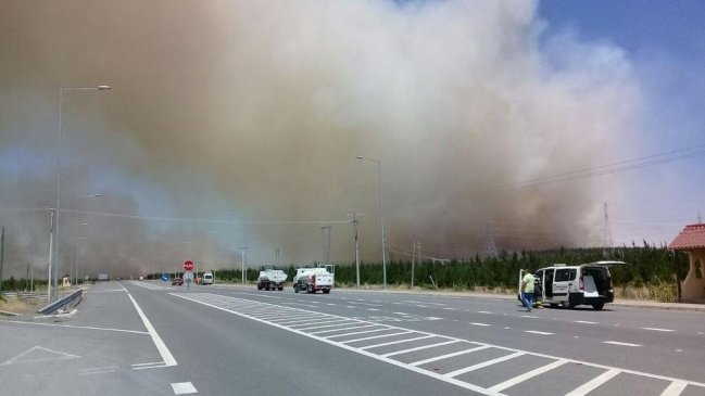 Controlaron incendio forestal en Cabrero