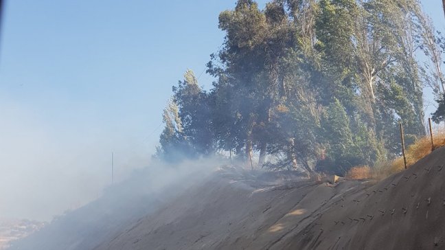 Incendio afecta a ladera norte del cerro San Cristóbal