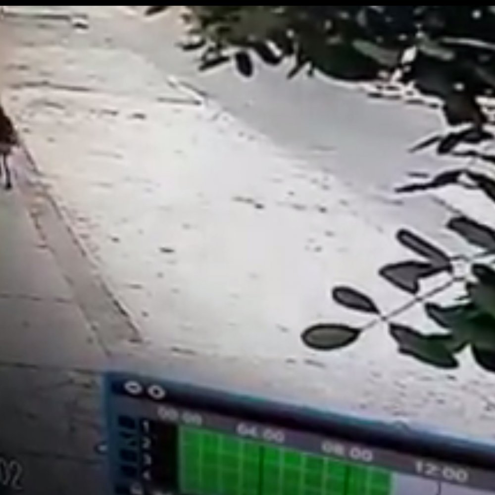 Denuncian acoso a niña en plena vía pública de Santiago