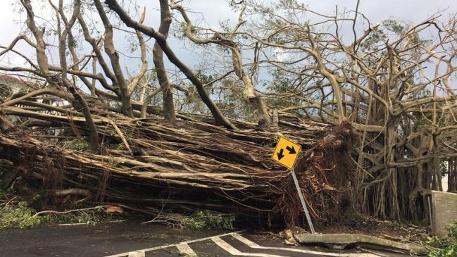 Gobierno de Puerto Rico revisará caso a caso las muertes tras huracán María