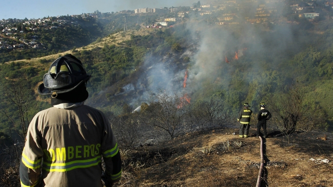Tres focos de incendios forestales complican a zonas de la Región de Valparaíso