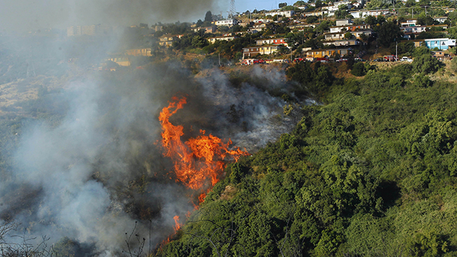 Onemi declara alerta roja en Las Cabras por violento incendio forestal