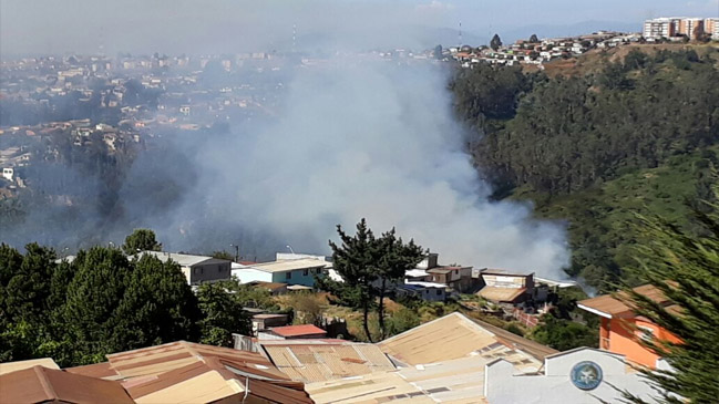 Incendio forestal motivó alerta roja en Valparaíso